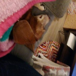 Meet your Posher, Debra